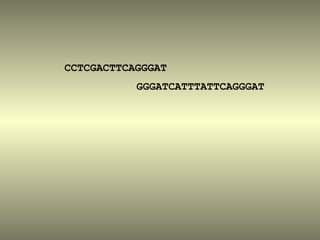 CCTCGACTTCAGGGAT
           GGGATCATTTATTCAGGGAT
 
