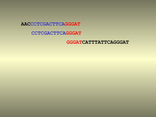 AACCCTCGACTTCAGGGAT
   CCTCGACTTCAGGGAT
              GGGATCATTTATTCAGGGAT
 