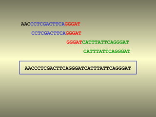 AACCCTCGACTTCAGGGAT
   CCTCGACTTCAGGGAT
              GGGATCATTTATTCAGGGAT
                      CATTTATTCAGGGAT


 AACCCTCGACTTCAGGGATCATTTATTCAGGGAT
 