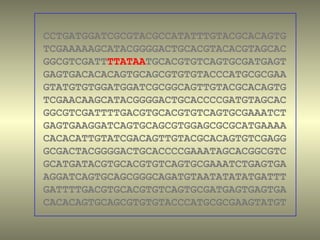 CCTGATGGATCGCGTACGCCATATTTGTACGCACAGTG
TCGAAAAAGCATACGGGGACTGCACGTACACGTAGCAC
GGCGTCGATTTTATAATGCACGTGTCAGTGCGATGAGT
GAGTGACACACAGTGCAGCGTGTGTACCCATGCGCGAA
GTATGTGTGGATGGATCGCGGCAGTTGTACGCACAGTG
TCGAACAAGCATACGGGGACTGCACCCCGATGTAGCAC
GGCGTCGATTTTGACGTGCACGTGTCAGTGCGAAATCT
GAGTGAAGGATCAGTGCAGCGTGGAGCGCGCATGAAAA
CACACATTGTATCGACAGTTGTACGCACAGTGTCGAGG
GCGACTACGGGGACTGCACCCCGAAATAGCACGGCGTC
GCATGATACGTGCACGTGTCAGTGCGAAATCTGAGTGA
AGGATCAGTGCAGCGGGCAGATGTAATATATATGATTT
GATTTTGACGTGCACGTGTCAGTGCGATGAGTGAGTGA
CACACAGTGCAGCGTGTGTACCCATGCGCGAAGTATGT
 