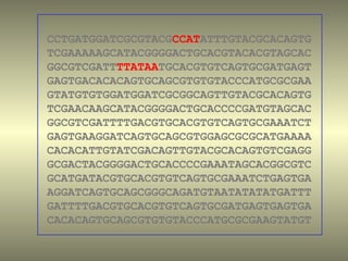 CCTGATGGATCGCGTACGCCATATTTGTACGCACAGTG
TCGAAAAAGCATACGGGGACTGCACGTACACGTAGCAC
GGCGTCGATTTTATAATGCACGTGTCAGTGCGATGAGT
GAGTGACACACAGTGCAGCGTGTGTACCCATGCGCGAA
GTATGTGTGGATGGATCGCGGCAGTTGTACGCACAGTG
TCGAACAAGCATACGGGGACTGCACCCCGATGTAGCAC
GGCGTCGATTTTGACGTGCACGTGTCAGTGCGAAATCT
GAGTGAAGGATCAGTGCAGCGTGGAGCGCGCATGAAAA
CACACATTGTATCGACAGTTGTACGCACAGTGTCGAGG
GCGACTACGGGGACTGCACCCCGAAATAGCACGGCGTC
GCATGATACGTGCACGTGTCAGTGCGAAATCTGAGTGA
AGGATCAGTGCAGCGGGCAGATGTAATATATATGATTT
GATTTTGACGTGCACGTGTCAGTGCGATGAGTGAGTGA
CACACAGTGCAGCGTGTGTACCCATGCGCGAAGTATGT
 