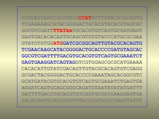 CCTGATGGATCGCGTACGCCATATTTGTACGCACAGTG
TCGAAAAAGCATACGGGGACTGCACGTACACGTAGCAC
GGCGTCGATTTTATAATGCACGTGTCAGTGCGATGAGT
GAGTGACACACAGTGCAGCGTGTGTACCCATGCGCGAA
GTATGTGTGGATGGATCGCGGCAGTTGTACGCACAGTG
TCGAACAAGCATACGGGGACTGCACCCCGATGTAGCAC
GGCGTCGATTTTGACGTGCACGTGTCAGTGCGAAATCT
GAGTGAAGGATCAGTAGGTCGTGGAGCGCGCATGAAAA
CACACATTGTATCGACAGTTGTACGCACAGTGTCGAGG
GCGACTACGGGGACTGCACCCCGAAATAGCACGGCGTC
GCATGATACGTGCACGTGTCAGTGCGAAATCTGAGTGA
AGGATCAGTGCAGCGGGCAGATGTAATATATATGATTT
GATTTTGACGTGCACGTGTCAGTGCGATGAAGGAGTGA
CACACAGTGCAGCGTGTGTACCCATGCGCGAAGTATGT
 