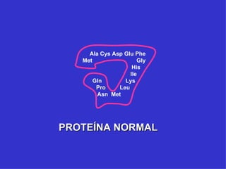 Ala Cys Asp Glu Phe
   Met                Gly
                    His
                   Ile
       Gln       Lys
        Pro    Leu
        Asn Met




PROTEÍNA NORMAL
 