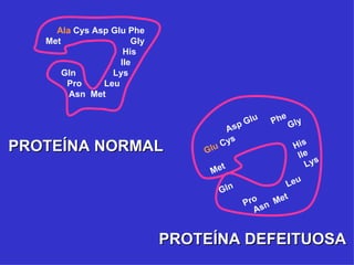 Ala Cys Asp Glu Phe
   Met                Gly
                    His
                   Ile
       Gln       Lys
        Pro    Leu
        Asn Met

                                                       e
                                             p Glu   Ph G ly
                                       As
                                        s
PROTEÍNA NORMAL                       Cy                  His
                                Glu
                                                           I le
                                      t                       Lys
                                 Me
                                                       Leu
                                      G ln
                                                      t
                                               ro
                                              P sn Me
                                                A


                            PROTEÍNA DEFEITUOSA
 