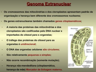 Genoma Extranuclear
- Os cromossomos das mitocôndrias e dos cloroplastos apresentam padrão de
    organização e herança bem diferente dos cromossomos nucleares;

- Os genes extranucleares também chamados genes citoplasmáticos;

-     A maioria das proteínas das mitocôndrias e dos
      cloroplastos são codificadas pelo DNA nuclear e
      importados do citosol para s organelas;

-     O tráfego das proteínas do citosol para as
      organelas é unidirecional;

-     O DNA das organelas celulares são circulares;

-     São relativamente pequenas e simples;

-     Não ocorre recombinação (somente mutação);

-     Herança não-mendedliana (citoplasmática,
      herança da mãe) Marcador de linhagem materna.
 