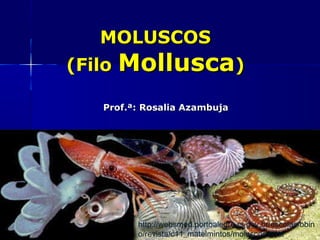 MOLUSCOS
(Filo Mollusca)

   Prof.ª: Rosalia Azambuja




         http://websmed.portoalegre.rs.gov.br/escolas/obin
         o/revista/c11_matelmintos/moluscos.html
 