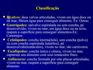 Classificação
   Bivalves: duas valvas articuladas, vivem em água doce ou
    no mar, filtram água para conseguir alimento. Ex: Ostras
   Gastrópodes: univalve espiralada ou sem concha, pé
    desenvolvido, vivem no mar, em água doce ou na terra,
    raspam a superfície para conseguir alimentos.Ex:
    Caramujos.
    Cefalópodes: concha interna(lula), sem concha (polvo)
    ou com concha espiralada (náutilos), pé
    desenvolvido(tentáculos), vivem no mar, são carnívoros.
    Escafópodos: concha única e cônica, vivem no mar,
    capturam seu alimento com seus tentáculos finos.
    Anfineuros: concha formada por oito placas articuladas,
    vivem no mar, raspam a superfície para conseguir
    alimento
 