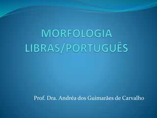 Prof. Dra. Andréa dos Guimarães de Carvalho
 
