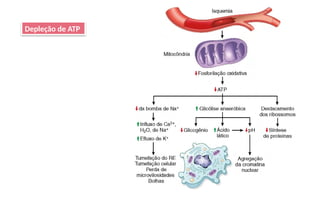 Depleção de ATP
 