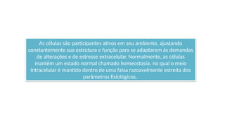As células são participantes ativos em seu ambiente, ajustando
constantemente sua estrutura e função para se adaptarem às demandas
de alterações e de estresse extracelular. Normalmente, as células
mantêm um estado normal chamado homeostasia, no qual o meio
intracelular é mantido dentro de uma faixa razoavelmente estreita dos
parâmetros fisiológicos.
 