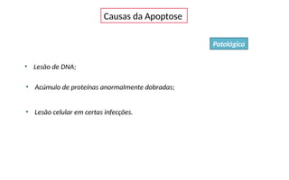 Patológica
Causas da Apoptose
• Lesão de DNA;
• Acúmulo de proteínas anormalmente dobradas;
• Lesão celular em certas infecções.
 