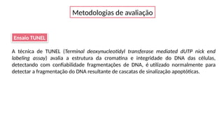 Metodologias de avaliação
Ensaio TUNEL
A técnica de TUNEL (Terminal deoxynucleotidyl transferase mediated dUTP nick end
labeling assay) avalia a estrutura da cromatina e integridade do DNA das células,
detectando com confiabilidade fragmentações de DNA, é utilizado normalmente para
detectar a fragmentação do DNA resultante de cascatas de sinalização apoptóticas.
 