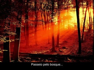 Passeio pelo bosque... 
 