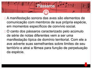 A manifestação sonora das aves são elementos de 
comunicação com membros de sua própria espécie, 
em momentos específicos de convívio social. 
O canto dos pássaros caracterizado pelo acúmulo 
de série de notas diferentes vem a ser uma 
manifestação típica de domínio territorial. Com ele a 
ave adverte suas semelhantes sobre limites de seu 
território e atrai a fêmea para função de perpetuação 
da espécie. 
 