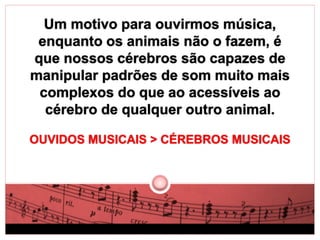 Um motivo para ouvirmos música, 
enquanto os animais não o fazem, é 
que nossos cérebros são capazes de 
manipular padrões de som muito mais 
complexos do que ao acessíveis ao 
cérebro de qualquer outro animal. 
OUVIDOS MUSICAIS > CÉREBROS MUSICAIS 
 