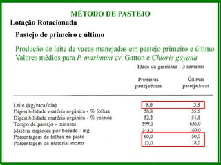 Lotação Rotacionada
Pastejo de primeiro e último
Produção de leite de vacas manejadas em pastejo primeiro e último.
Valores médios para P. maximum cv. Gatton e Chloris gayana
MÉTODO DE PASTEJO
 