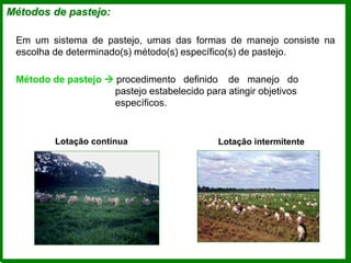 Em um sistema de pastejo, umas das formas de manejo consiste na
escolha de determinado(s) método(s) específico(s) de pastejo.
Método de pastejo  procedimento definido de manejo do
pastejo estabelecido para atingir objetivos
específicos.
Lotação contínua Lotação intermitente
Métodos de pastejo:
 