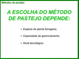 Métodos de pastejo:
A ESCOLHA DO MÉTODO
DE PASTEJO DEPENDE:
 Espécie de planta forrageira;
 Nível tecnológico.
 Capacidade de gerenciamento;
 