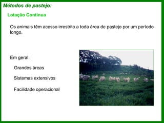 Lotação Contínua
Os animais têm acesso irrestrito a toda área de pastejo por um período
longo.
Em geral:
Grandes áreas
Sistemas extensivos
Facilidade operacional
Métodos de pastejo:
 