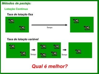 Métodos de pastejo:
Taxa de lotação fixa
Taxa de lotação variável
Lotação Contínua
Tempo
Tempo Tempo
Qual é melhor?
 