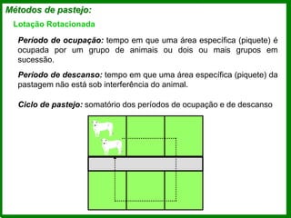 Métodos de pastejo:
Lotação Rotacionada
Período de ocupação: tempo em que uma área específica (piquete) é
ocupada por um grupo de animais ou dois ou mais grupos em
sucessão.
Período de descanso: tempo em que uma área específica (piquete) da
pastagem não está sob interferência do animal.
Ciclo de pastejo: somatório dos períodos de ocupação e de descanso
 