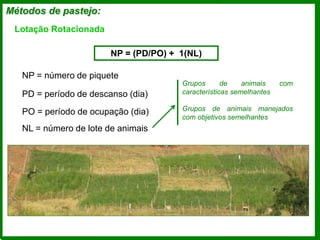 Métodos de pastejo:
Lotação Rotacionada
NP = (PD/PO) + 1(NL)
NP = número de piquete
PD = período de descanso (dia)
PO = período de ocupação (dia)
NL = número de lote de animais
Grupos de animais com
características semelhantes
Grupos de animais manejados
com objetivos semelhantes
 