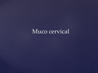Muco cervical
 
