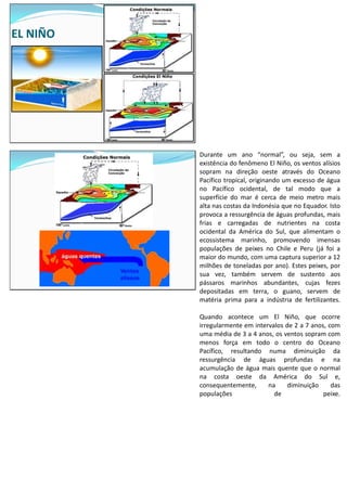 EL NIÑO
Durante um ano “normal”, ou seja, sem a
existência do fenômeno El Niño, os ventos alísios
sopram na direção oeste através do Oceano
Pacífico tropical, originando um excesso de água
no Pacífico ocidental, de tal modo que a
superfície do mar é cerca de meio metro mais
alta nas costas da Indonésia que no Equador. Isto
provoca a ressurgência de águas profundas, mais
frias e carregadas de nutrientes na costa
ocidental da América do Sul, que alimentam o
ecossistema marinho, promovendo imensas
populações de peixes no Chile e Peru (já foi a
maior do mundo, com uma captura superior a 12
milhões de toneladas por ano). Estes peixes, por
sua vez, também servem de sustento aos
pássaros marinhos abundantes, cujas fezes
depositadas em terra, o guano, servem de
matéria prima para a indústria de fertilizantes.
Quando acontece um El Niño, que ocorre
irregularmente em intervalos de 2 a 7 anos, com
uma média de 3 a 4 anos, os ventos sopram com
menos força em todo o centro do Oceano
Pacífico, resultando numa diminuição da
ressurgência de águas profundas e na
acumulação de água mais quente que o normal
na costa oeste da América do Sul e,
consequentemente, na diminuição das
populações de peixe.
 