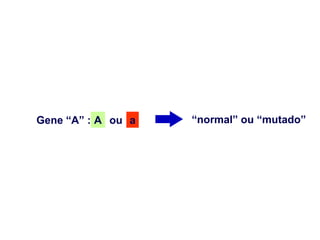 Gene “A” : A ou a   “normal” ou “mutado”
 