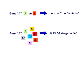 Gene “A” : A ou a          “normal” ou “mutado”




                  A2
             A
Gene “A” :            A1   ALELOS do gene “A”
                 A3
        A5
                       a
                 A4
 