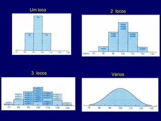 Um loco   2 locos




3 locos   Vários
 
