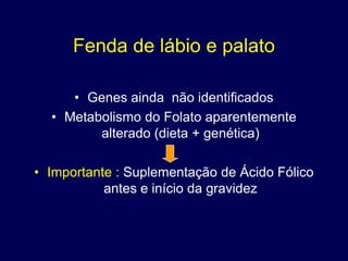 Fenda de lábio e palato

     • Genes ainda não identificados
  • Metabolismo do Folato aparentemente
         alterado (dieta + genética)

• Importante : Suplementação de Ácido Fólico
           antes e início da gravidez
 