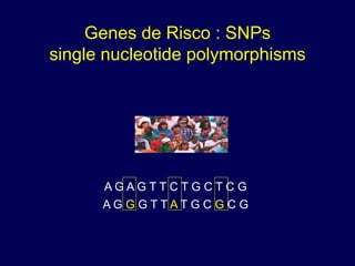 Genes de Risco : SNPs
single nucleotide polymorphisms




      AGAGTTCTG CTC G
      AG G GTTATG C G C G
 
