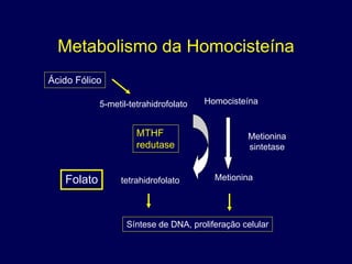 Metabolismo da Homocisteína
Ácido Fólico

            5-metil-tetrahidrofolato   Homocisteína


                      MTHF                       Metionina
                      redutase                   sintetase


   Folato        tetrahidrofolato        Metionina




                   Síntese de DNA, proliferação celular
 