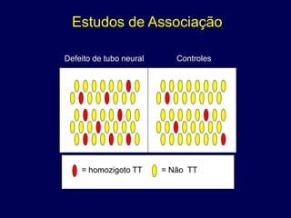 Estudos de Associação

Defeito de tubo neural      Controles




    = homozigoto TT      = Não TT
 