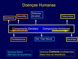 Doenças Humanas
                              Estenose
            Hemofilia         do piloro                  Tuberculose
Duchenne



      Componente Genético                 Componente Ambiental


      Fenilcetonúria             Def. Tubo Neural             Sarampo




  Doenças Raras                       Doenças Comuns (multifatoriais)
  Alto risco de recorrência           Baixo risco de recorrência
 