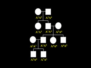 A1A2   A3A4



   A1A3   A1A4   A5A6



A2A7   A1A5   A4A6   A4A5



A2A4   A7A1
 
