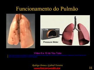 Funcionamento do Pulmão Vídeo 9 e 10 do You Tube 1-  http://www.youtube.com/watch?v=x5oJ9nOY0_c&feature=PlayList&p=A731307281AE12A7&playnext=1&playnext_from=PL&index=43   2-  http://www.youtube.com/watch?v=oKH7CtsEgHw   