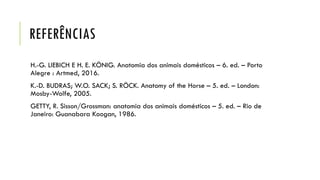 REFERÊNCIAS
H.-G. LIEBICH E H. E. KÖNIG. Anatomia dos animais domésticos – 6. ed. – Porto
Alegre : Artmed, 2016.
K.-D. BUDRAS; W.O. SACK; S. RÖCK. Anatomy of the Horse – 5. ed. – London:
Mosby-Wolfe, 2005.
GETTY, R. Sisson/Grossman: anatomia dos animais domésticos – 5. ed. – Rio de
Janeiro: Guanabara Koogan, 1986.
 