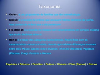 Taxonomia.
• Ordem: é um grupamento de famílias que têm semelhanças.
• Classe: é a reunião de ordens que possuem fatores distintos de outras,
mas comum às ordens que a ela pertencem
• Filo (Ramo): é a reunião de classes com características em comum, mesmo
que muito distintas entre si.
• Reino: é a maior das categorias taxionômicas. Reune filos com as
características comuns a todos, mesmo que existam diferenças enormes
entre eles. Possui apenas cinco divisões: Animalia (Metazoa), Vegetalia
(Plantae), Fungi, Protistis e Monera

Espécies < Gêneros < Famílias < Ordens < Classes < Filos (Ramos) < Reinos

 