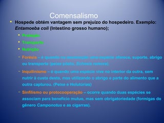 Comensalismo

 Hospede obtém vantagem sem prejuízo do hospedeiro. Exemplo:
Entamoeba coli (Intestino grosso humano);
 Proteção
 Transporte
 Nutrição
­ Forésia – é quando na associação uma espécie oferece, suporte, abrigo
ou transporte (peixe piloto, Echneis remora).
­ Inquilinismo – é quando uma espécie vive no interior da outra, sem
nutrir à custa desta, mas utilizando o abrigo e parte do alimento que a
outra capturou. (Peixe e Holutúrias)
­ Sinfilismo ou protocooperação – ocorre quando duas espécies se
associam para benefício mutuo, mas sem obrigatoriedade (formigas do
gênero Camponotus e as cigarras).

 