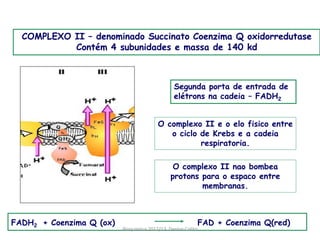 COMPLEXO II – denominado Succinato Coenzima Q oxidorredutase
           Contém 4 subunidades e massa de 140 kd



                                                Segunda porta de entrada de
                                                elétrons na cadeia – FADH2


                                         O complexo II e o elo fisico entre
                                            o ciclo de Krebs e a cadeia
                                                    respiratoria.

                                                O complexo II nao bombea
                                               protons para o espaco entre
                                                       membranas.



FADH2 + Coenzima Q (ox)                                       FAD + Coenzima Q(red)
                          Bioquimica 2012/13. Denise Colito
 