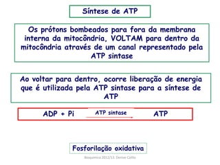Síntese de ATP

  Os prótons bombeados para fora da membrana
 interna da mitocôndria, VOLTAM para dentro da
mitocôndria através de um canal representado pela
                   ATP sintase


Ao voltar para dentro, ocorre liberação de energia
que é utilizada pela ATP sintase para a síntese de
                       ATP

      ADP + Pi         ATP sintase                   ATP



              Fosforilação oxidativa
                 Bioquimica 2012/13. Denise Colito
 