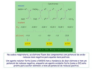 Na cadeia respiratoria, os eletrons fluem dos componentes com potencial de oxido-
                reducao mais negativo para aqueles mais postivos.
Um agente redutor forte (como o NADH) tem a tendencia de doar eletrons e tem um
potencial de reducao negativo, enquanto um agente oxidante forte (como o O2) esta
       pronto para aceitar eletrons e tem um potencial de reducao positivo.
                              Bioquimica 2012/13. Denise Colito
 