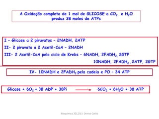 A Oxidação completa de 1 mol de GLICOSE a CO2 e H2O
                     produz 38 moles de ATPs




I – Glicose a 2 piruvatos – 2NADH, 2ATP
II- 2 piruvato a 2 Acetil-CoA – 2NADH
III- 2 Acetil-CoA pelo ciclo de Krebs – 6NADH, 2FADH2, 2GTP
                                                       10NADH, 2FADH2 ,2ATP, 2GTP

            IV- 10NADH e 2FADH2 pela cadeia e PO – 34 ATP



 Glicose + 6O2 + 38 ADP + 38Pi                             6CO2 + 6H2O + 38 ATP




                           Bioquimica 2012/13. Denise Colito
 