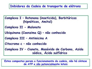 Inibidores da Cadeia de transporte de elétrons


Complexo I – Rotenona (inseticida), Barbitúricos
           (hipnóticos, Amital)
Complexo II - Malonato
Ubiquinona (Coenzima Q) – não conhecido
Complexo III – Antimicina A
Citocromo c – não conhecido
Complexo IV – Cianeto, Monóxido de Carbono, Azida
                 sódica, Ácido sulfídrico

Estes compostos param o funcionamento da cadeia, não há síntese
              de ATP e são potencialmente letais
                       Bioquimica 2012/13. Denise Colito
 