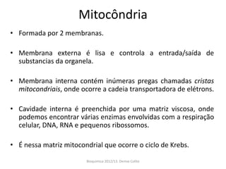 Mitocôndria
• Formada por 2 membranas.

• Membrana externa é lisa e controla a entrada/saída de
  substancias da organela.

• Membrana interna contém inúmeras pregas chamadas cristas
  mitocondriais, onde ocorre a cadeia transportadora de elétrons.

• Cavidade interna é preenchida por uma matriz viscosa, onde
  podemos encontrar várias enzimas envolvidas com a respiração
  celular, DNA, RNA e pequenos ribossomos.

• É nessa matriz mitocondrial que ocorre o ciclo de Krebs.

                        Bioquimica 2012/13. Denise Colito
 