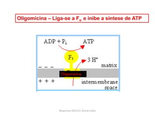 Oligomicina – Liga-se a Fo e inibe a síntese de ATP




                  Oligomicina




                 Bioquimica 2012/13. Denise Colito
 