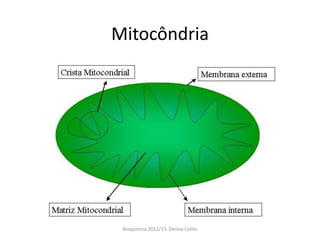 Mitocôndria




 Bioquimica 2012/13. Denise Colito
 