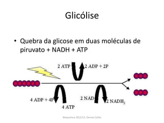 Glicólise

• Quebra da glicose em duas moléculas de
  piruvato + NADH + ATP




               Bioquimica 2012/13. Denise Colito
 